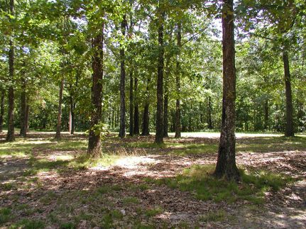 Undeveloped Land in Howell County, Missouri