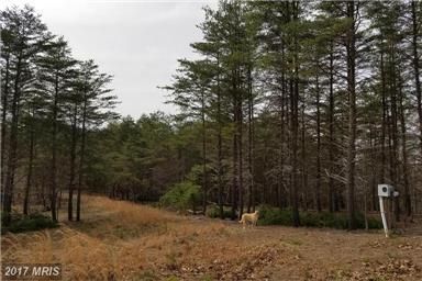 Recreational Property in Hampshire County, West Virginia