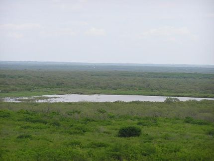 Farm and Ranch in Frio County, Texas