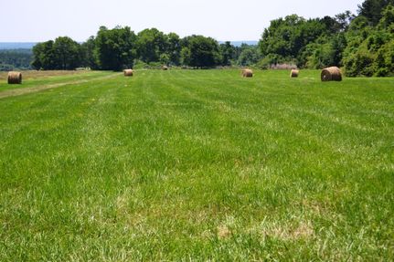 Farm and Ranch in Macon County, Alabama