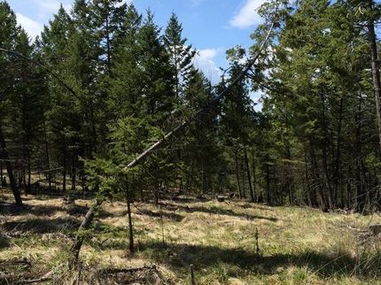 Land in Lincoln County, Montana