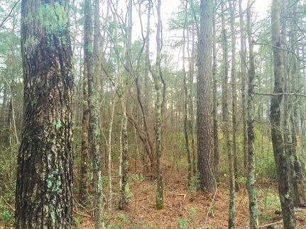 Land in Berkeley County, South Carolina