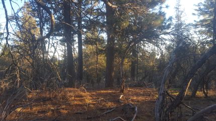 Recreational Property in Klamath County, Oregon