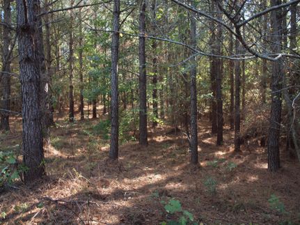Farm and Ranch in Madison County, Mississippi