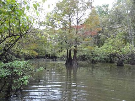 Farm and Ranch in Woodruff County, Arkansas
