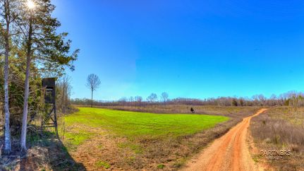 Timberland Property in Dallas County, Alabama