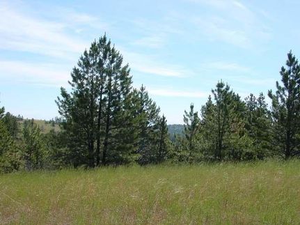 Land in Stillwater County, Montana