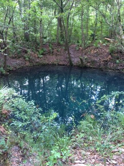 Land in Jackson County, Florida