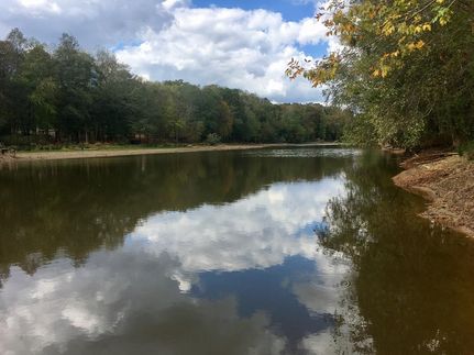 Commercial Property in Randolph County, Alabama