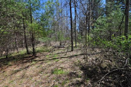 Land in Madison County, North Carolina