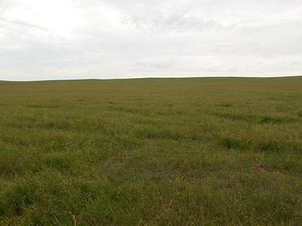 Farm and Ranch in Butte County, South Dakota