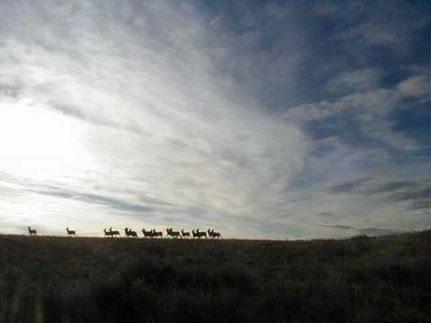 Land in Rosebud County, Montana