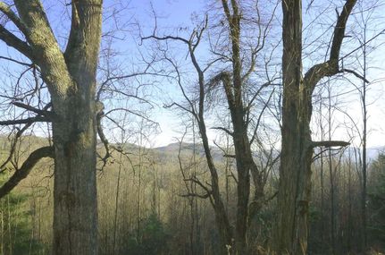 Recreational Property in Madison County, North Carolina