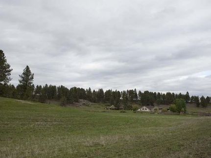 Timberland Property in Fergus County, Montana
