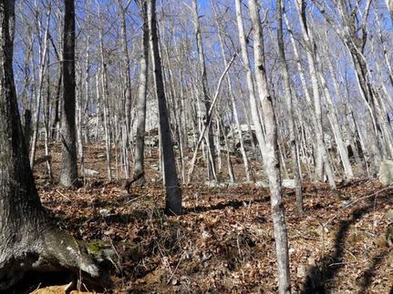 Land in Grundy County, Tennessee