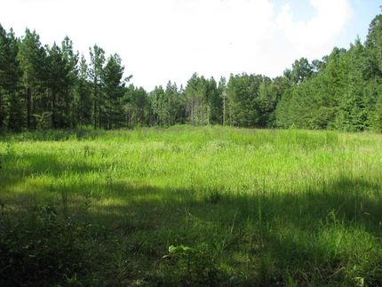 Land in Marengo County, Alabama