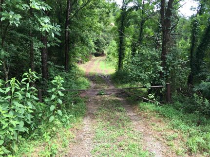 Undeveloped Land in Christian County, Kentucky