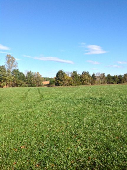 Farm and Ranch in Orange County, Virginia
