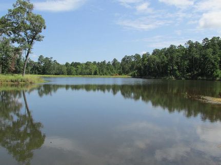 Farm and Ranch in Anderson County, Texas