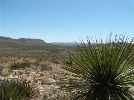 Farm and Ranch in Hudspeth County, Texas