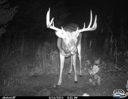 Recreational Property in Wayne County, Iowa
