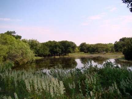 Recreational Property in Callahan County, Texas