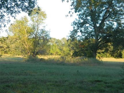 Land in Red River County, Texas