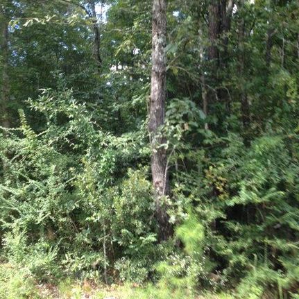 Land in Pike County, Mississippi