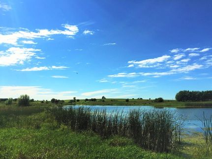 Farm and Ranch in Marshall County, Iowa