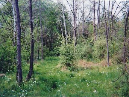 Farm and Ranch in Monroe County, Tennessee