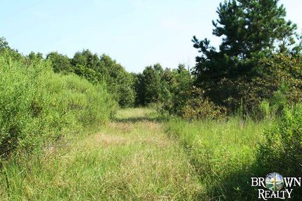 Commercial Property in West Carroll Parish, Louisiana