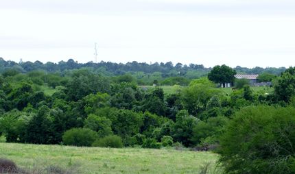 Farm and Ranch in Austin County, Texas