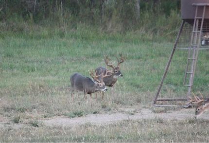Farm and Ranch in Dewitt County, Texas