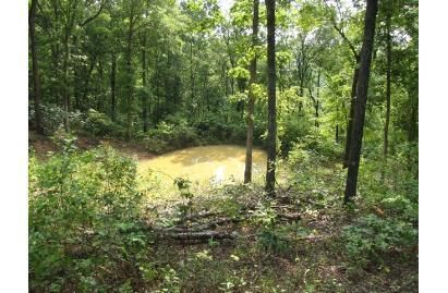 Land in Wayne County, Missouri