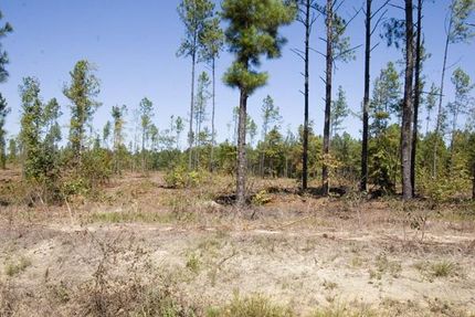 Farm and Ranch in Jefferson County, Georgia
