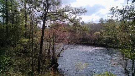 Land in Charlton County, Georgia