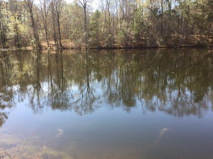 Farm and Ranch in Dale County, Alabama