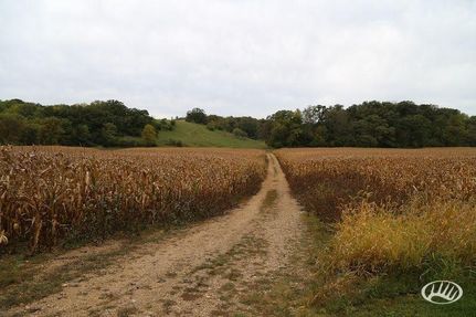 Farm and Ranch in Jo Daviess County, Illinois
