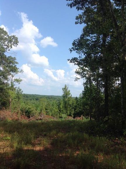 Farm and Ranch in Lee County, Alabama