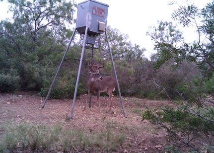 Farm and Ranch in Frio County, Texas