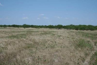 House in Limestone County, Texas