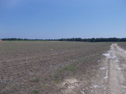 Farm and Ranch in Elmore County, Alabama