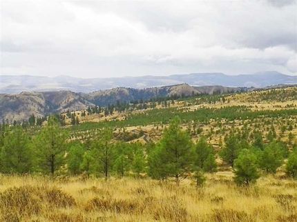 Farm and Ranch in Wheeler County, Oregon