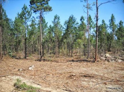Land in Ouachita Parish, Louisiana