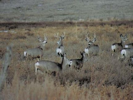 Land in Silver Bow County, Montana