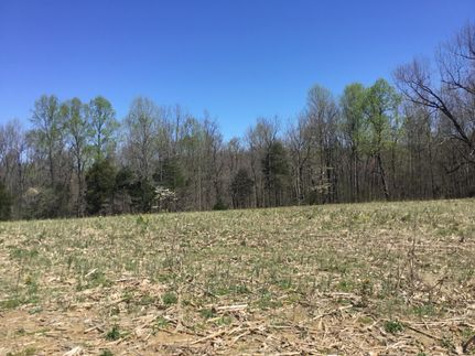 Land in Butler County, Kentucky