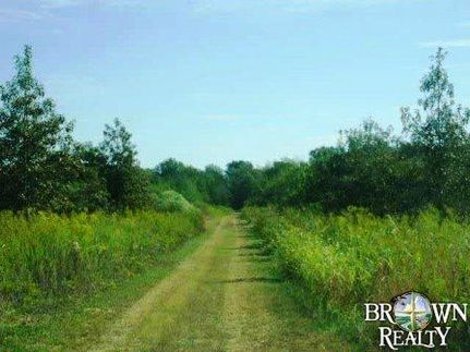 Farm and Ranch in Franklin Parish, Louisiana