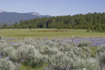Land in Beaverhead County, Montana