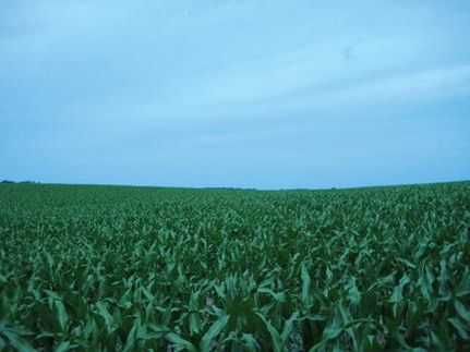 Timberland Property in Saint Joseph County, Michigan