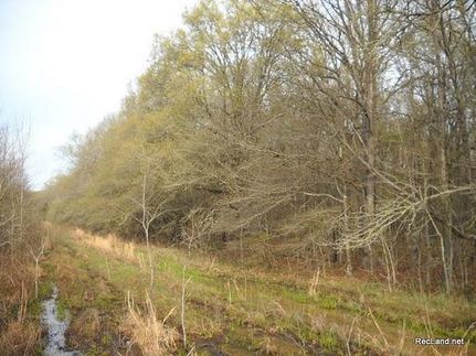 Land in Ouachita Parish, Louisiana